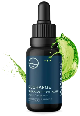 Activation Products RECHARGE Refocus + Revitalize Marine Phytoplankton bottle