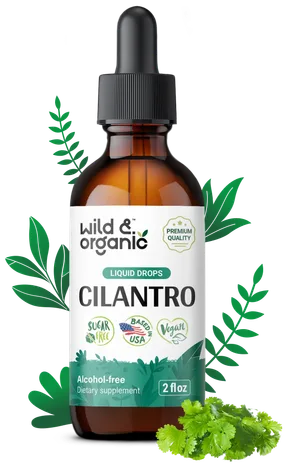 Wild & Organic Cilantro Drops bottle