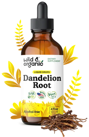 Wild & Organic Dandelion Root Drops bottle
